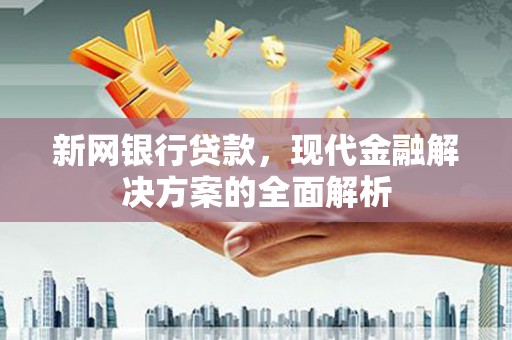 天峨新网银行贷款，现代金融解决方案的全面解析