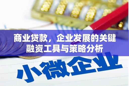 天峨商业贷款，企业发展的关键融资工具与策略分析