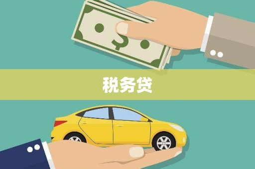 天峨税务贷