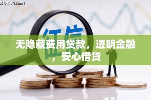 天峨无隐藏费用贷款，透明金融，安心借贷