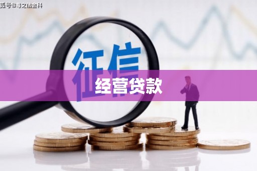 天峨经营贷款