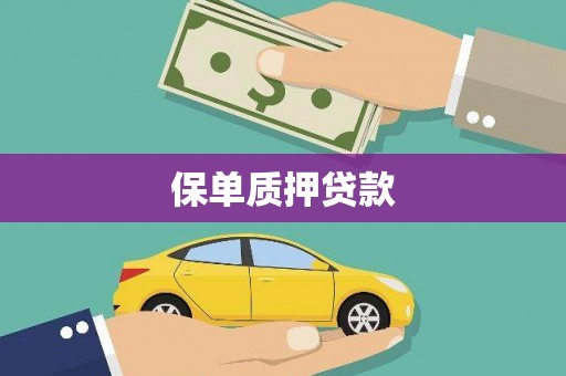 天峨保单质押贷款