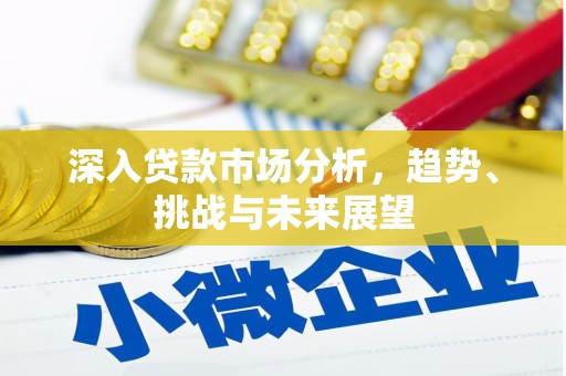 天峨深入贷款市场分析，趋势、挑战与未来展望