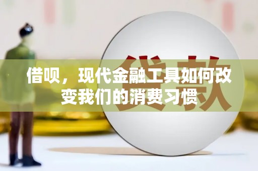 天峨借呗，现代金融工具如何改变我们的消费习惯