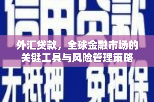 天峨外汇贷款，全球金融市场的关键工具与风险管理策略