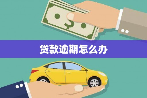 天峨贷款逾期怎么办