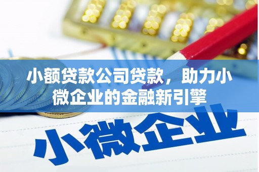 天峨小额贷款公司贷款，助力小微企业的金融新引擎