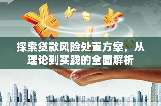 天峨探索贷款风险处置方案，从理论到实践的全面解析