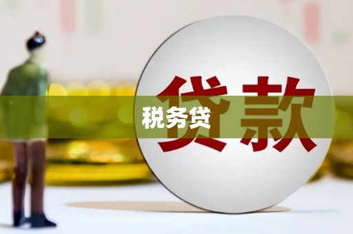 天峨税务贷