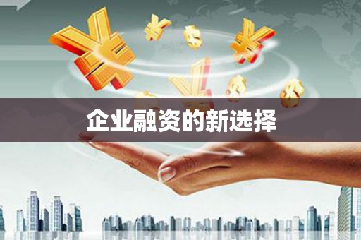 天峨企业融资的新选择