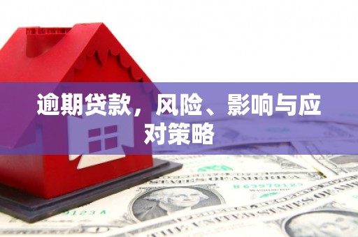 天峨逾期贷款，风险、影响与应对策略