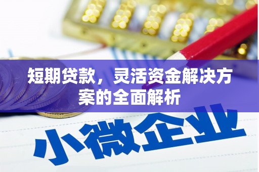 天峨短期贷款，灵活资金解决方案的全面解析