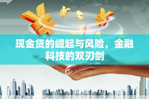 天峨现金贷的崛起与风险，金融科技的双刃剑