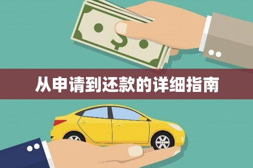 天峨从申请到还款的详细指南