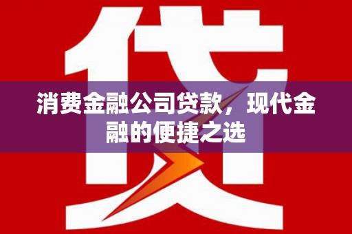 天峨消费金融公司贷款，现代金融的便捷之选