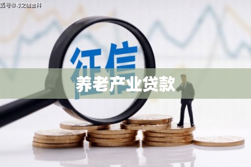 天峨养老产业贷款
