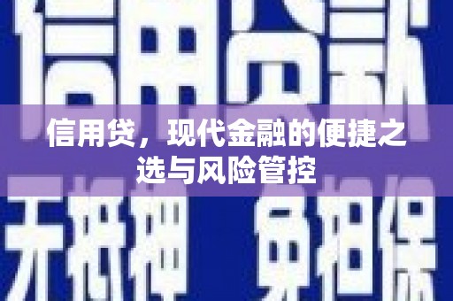 天峨信用贷，现代金融的便捷之选与风险管控