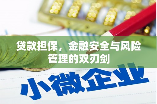 天峨贷款担保，金融安全与风险管理的双刃剑