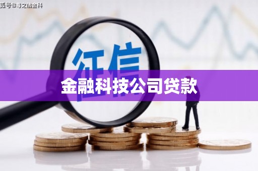 天峨金融科技公司贷款