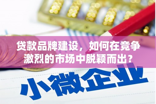 天峨贷款品牌建设，如何在竞争激烈的市场中脱颖而出？