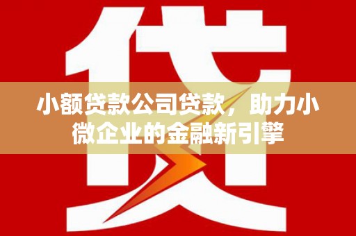 天峨小额贷款公司贷款，助力小微企业的金融新引擎