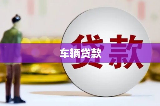 天峨车辆贷款