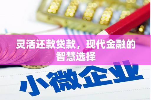 天峨灵活还款贷款，现代金融的智慧选择