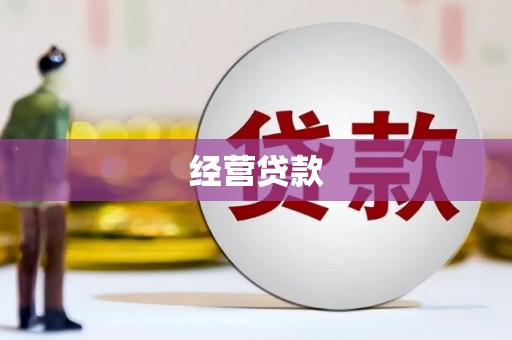天峨经营贷款