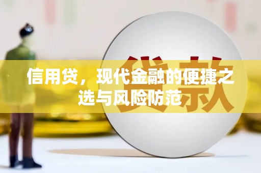 天峨信用贷，现代金融的便捷之选与风险防范