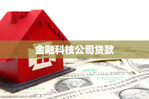 天峨金融科技公司贷款
