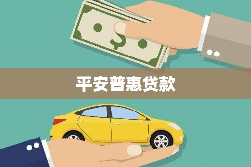 天峨平安普惠贷款