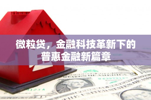 天峨微粒贷，金融科技革新下的普惠金融新篇章