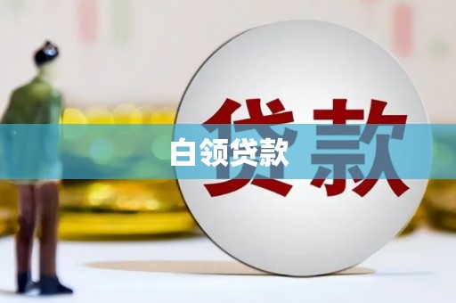天峨白领贷款