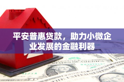 天峨平安普惠贷款，助力小微企业发展的金融利器