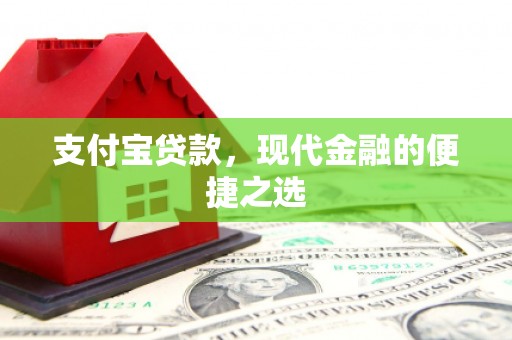 天峨支付宝贷款，现代金融的便捷之选