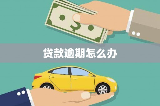 天峨贷款逾期怎么办