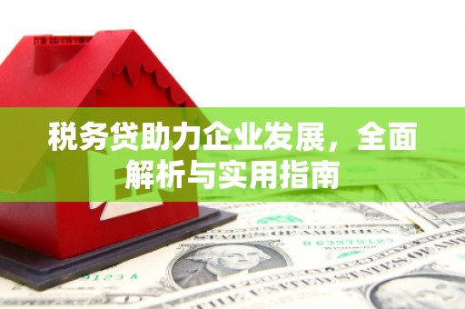 天峨税务贷助力企业发展，全面解析与实用指南