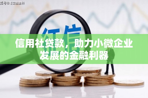 天峨信用社贷款，助力小微企业发展的金融利器
