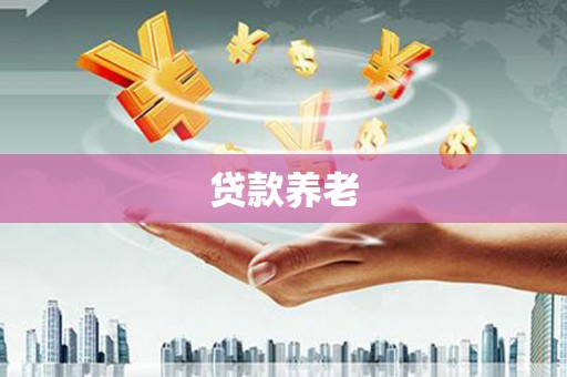 天峨贷款养老