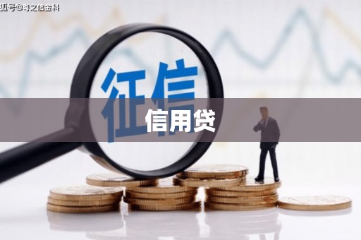 天峨信用贷