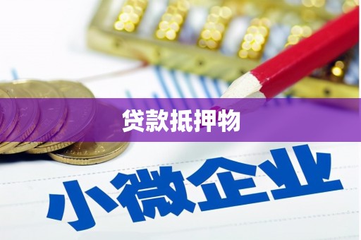 天峨贷款抵押物