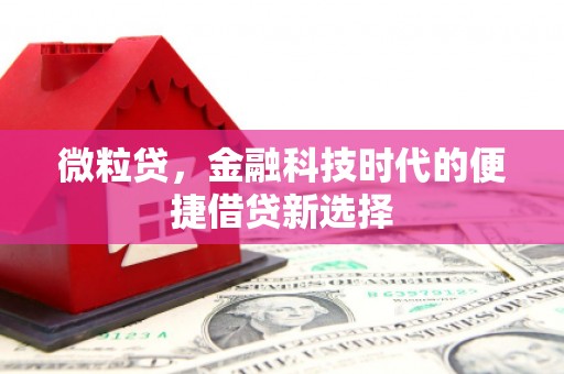 天峨微粒贷，金融科技时代的便捷借贷新选择