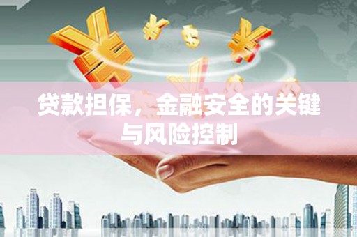 天峨贷款担保，金融安全的关键与风险控制