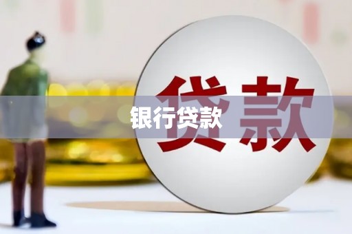 天峨银行贷款