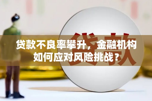 天峨贷款不良率攀升，金融机构如何应对风险挑战？
