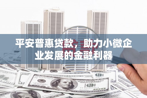 天峨平安普惠贷款，助力小微企业发展的金融利器