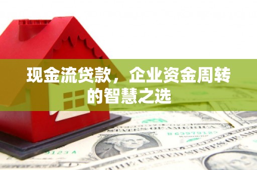 天峨现金流贷款，企业资金周转的智慧之选