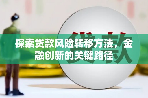 天峨探索贷款风险转移方法，金融创新的关键路径