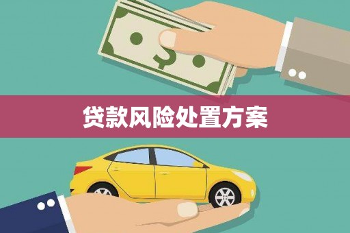 天峨贷款风险处置方案