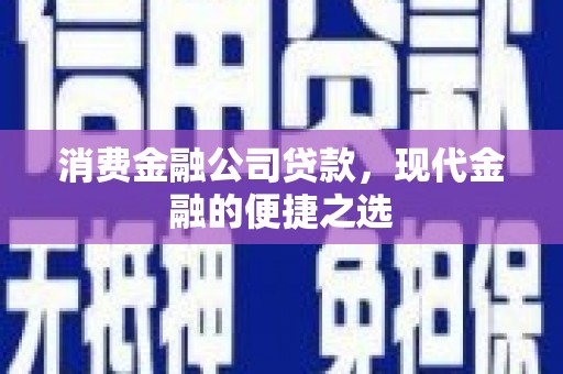 天峨消费金融公司贷款，现代金融的便捷之选